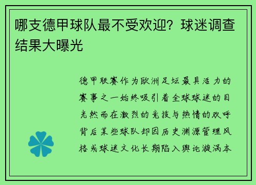 哪支德甲球队最不受欢迎？球迷调查结果大曝光